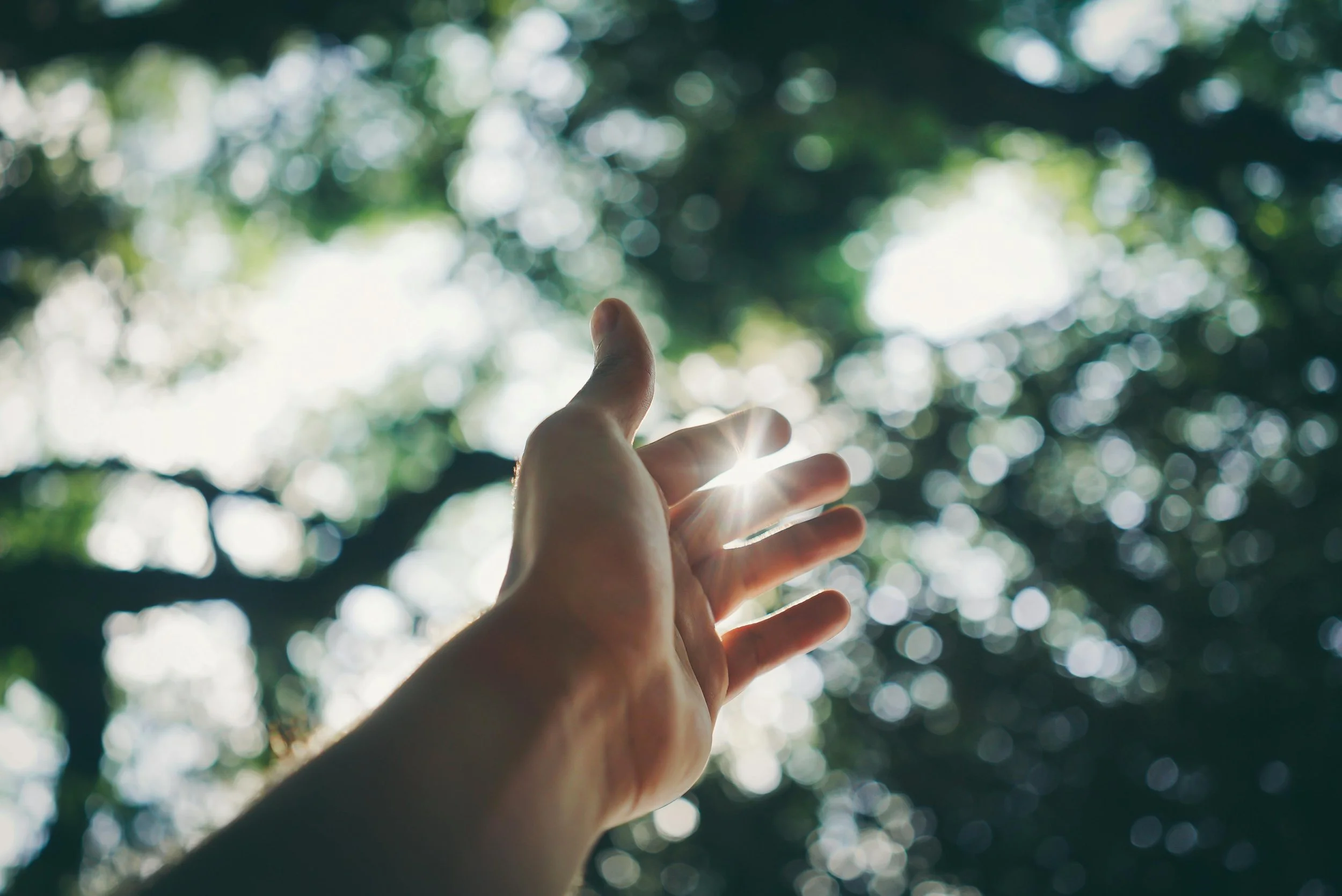 A hand reaching toward sunlight filtering through leaves